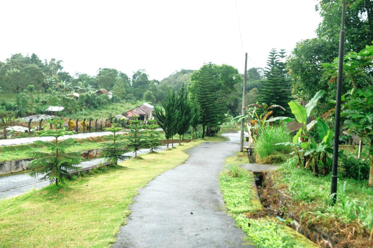 Tunjung Sari Villa Bedugul Bedugul  Εξωτερικό φωτογραφία