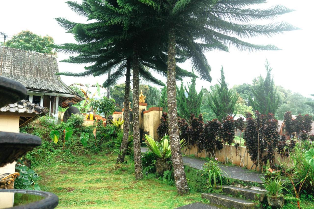 Tunjung Sari Villa Bedugul Bedugul  Εξωτερικό φωτογραφία